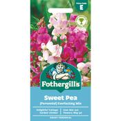 Sweet Pea Seeds (Perennial Everlasting Mix) image