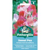 Sweet Pea Seeds (Perfume Duet Grandiflora) image