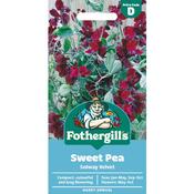Sweet Pea Seeds (Solway Velvet) image