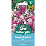 Sweet Rocket Mixed Seeds image