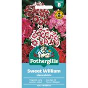 Sweet Williams Seeds (Monarch Mix)