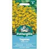 Tagetes Seeds (Golden Gem) image