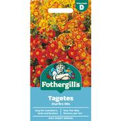 Tagetes Seeds (Starfire Mix) image