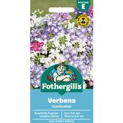 Verbena Seeds (Scentsation) image