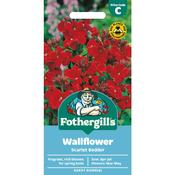 Wallflower Seeds (Scarlet Bedder) image