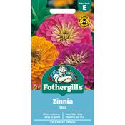 Zinnia Seeds (Jazz) image