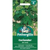 Coriander Seeds image