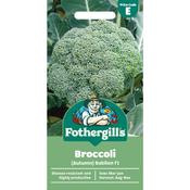 Broccoli Seeds (Autumn) Babilon F1 image