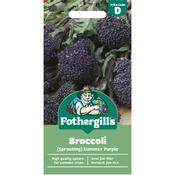 Sprouting Broccoli Seeds (Summer Purple) image