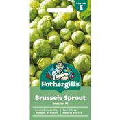 Brussels Sprouts Seeds (Brechin F1)