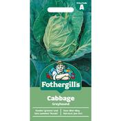 Cabbage Seeds (Greyhound) image