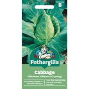 Cabbage Seeds Offenham 2 (Flower of Spring) image