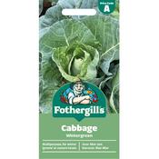 Cabbage Seeds (Wintergreen) image