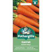 Carrot Seeds (Autumn King 2)