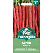 Carrot Seeds (Malbec F1) image