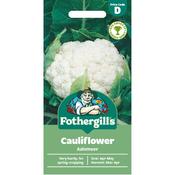 Cauliflower Seeds (Aalsmeer) image