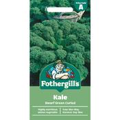 Kale Seeds (Dwarf Green Curled) image