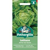 Lettuce Seeds (All Year Round) image