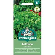 Mixed Lettuce Seeds (Mixed Salad) image
