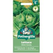 Lettuce Seeds (Winter Density) image