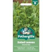SALAD LEAVES Oriental Mix image