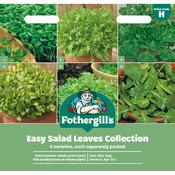 Classic Salad Seeds (Variety Pack) image