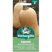 Squash Seeds (Butternut) Sweetmax F1 image