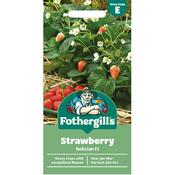 Strawberry Seeds (Delician F1) image