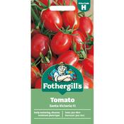 Tomato Seeds (Santa Victoria F1) image