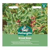 Broad Bean Seeds (Crimson Flowered)