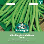 CLIMBING FRENCH BEAN (Blue Lake) image