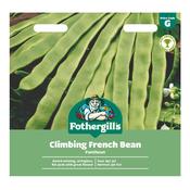 Climbing French Bean Seeds (Pantheon)