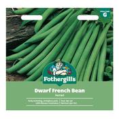 Dwarf French Bean Seeds (Ferrari)