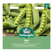 Pea Seeds (Meteor) image
