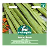 Runner Bean Seeds (Scarlet Empire)