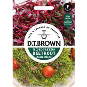 Beetroot Seeds (Bulls Blood) image