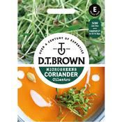 Microgreens Coriander Seeds (Cilantro) image