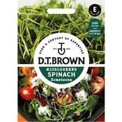 Spinach Seeds (Komatsuna) image