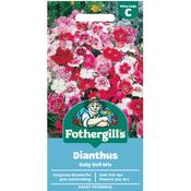 Dianthus Seeds (Baby Doll Mix) image