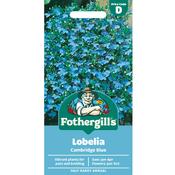 Lobelia Trailing Flower Seeds (Cambridge Blue) image
