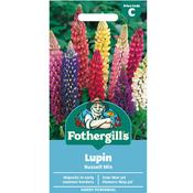 Lupin Seeds (Russell Mix)