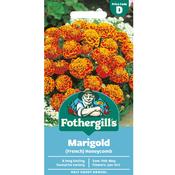 French Marigold Seeds (Honeycomb) image