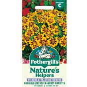 French Marigold Seeds (Naughty Marietta)