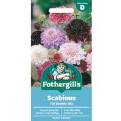 Scabious Seeds (Tall Double Mix) image