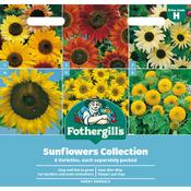 Sunflower Collection