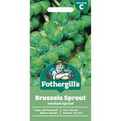 Brussel Sprouts Seeds (Evesham Special) image