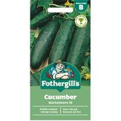 Cucumber Seeds (Marketmore 76) image