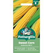 SWEET CORN Bodacious RM F1 Mr Fothergills Seeds image