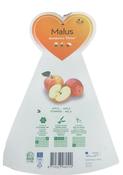 Malus domestica Elstar Dessert Apple Tree image