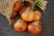 Onion Sets RADAR (75 Pack)